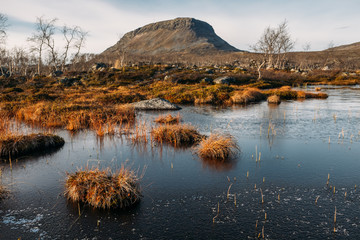 Autumn color on Kilpisjarvi and Saana Fell side of the lake. Finnish tundra landscape