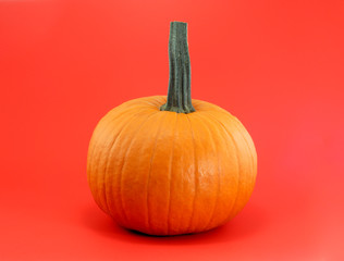 one orange pumpkin on red background for halloween or thanksgiving
