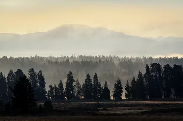 Crédence en verre imprimé Forêt dans le brouillard le parc national de Yellowstone