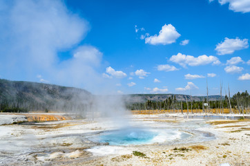 Yellowstone National Park