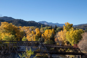 Obraz premium Pedestrian bridge over the Animas river in the fall, horizontal