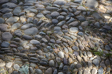 cobble stone walk way