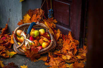Jabłka w koszu pośród jesiennych liści klonu na ganku - obrazy, fototapety, plakaty