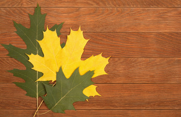 three dry autumn leaves on the wooden background