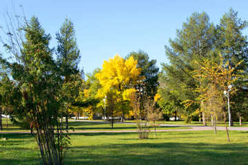 Sunny day in city park in autumn.