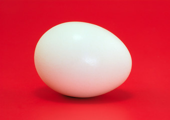white egg on red background, horizontal studio shot