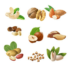 Set vector icons of nuts