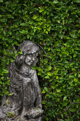 statues with green leaves background in garden