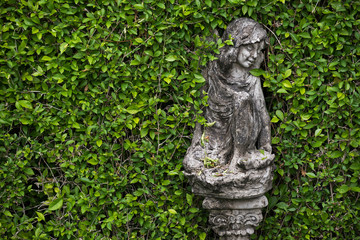 statues with green leaves background in garden