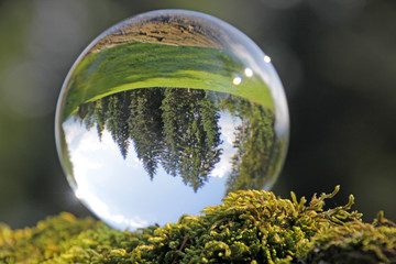 wald in kristallkugel, längenberg, schweiz