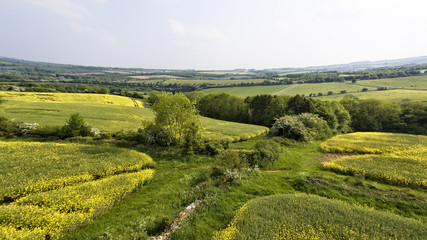 Aerial view of colourful flowering fields in spring english countryside