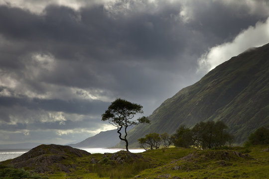 Dark Clouds Over A Landscape Along The Coast; Ardnamurchan, Argyll, Scotland