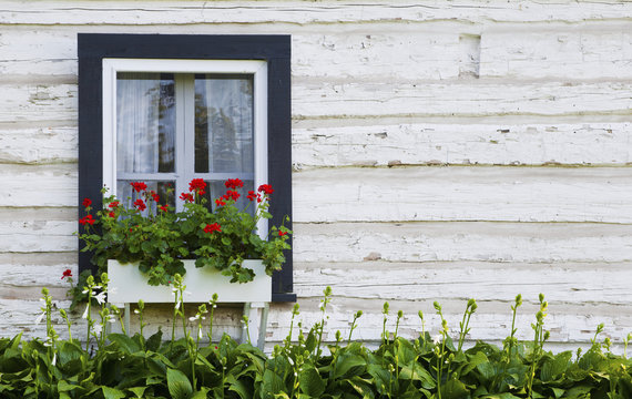 Old Log House With Flowers In A Window Box; Iron Hill, Quebec, Canada