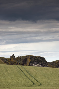 Tire Tracks Across A Field; St. Abb's Head, Scottish Borders, Scotland