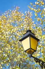 Autumn leaves and streetlight