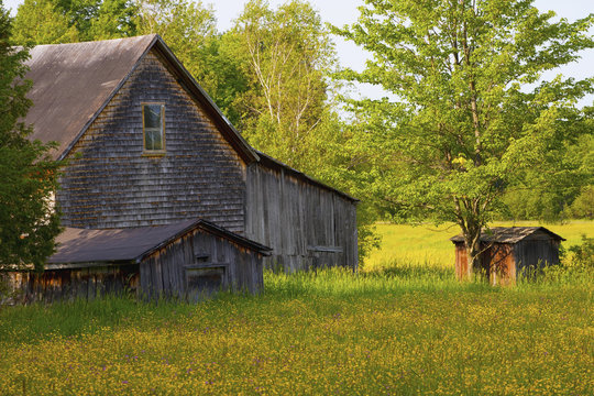 Old Barn And Sheds; Ville De Lac Brome, Quebec, Canada