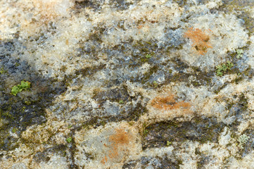 stone background texture, stone surface