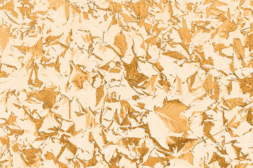 Crunchy Autumn Leaf Background