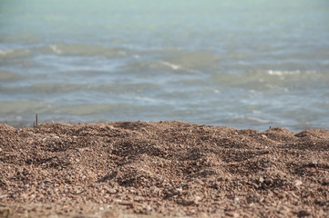 summer beach and sand