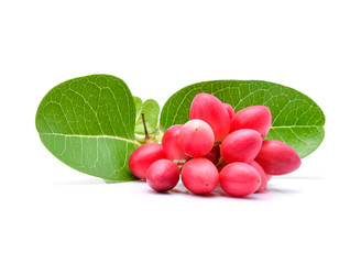 Carunda or Karonda on white background