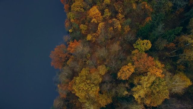Autumn forest and blue river, aerial top drone view