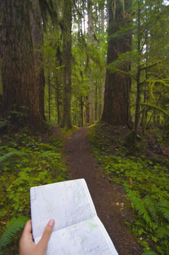 Using A Map To Guide You Down A Path Through The Forest; Alberta, Canada
