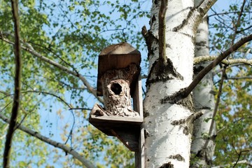 home for birds