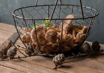 Honey mushrooms in a wire basket and a knife with a wooden handle on the table
