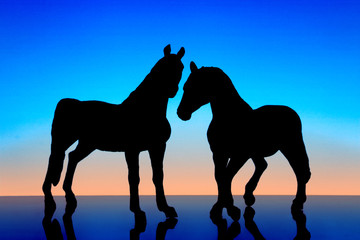 horses on the background of dawn
