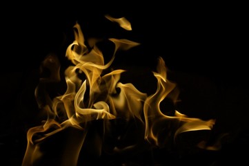 Snapshot of yellow, flickering tongues of fire dancing and twisting on black background