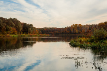 The beatiful summer landscape with a river and trees