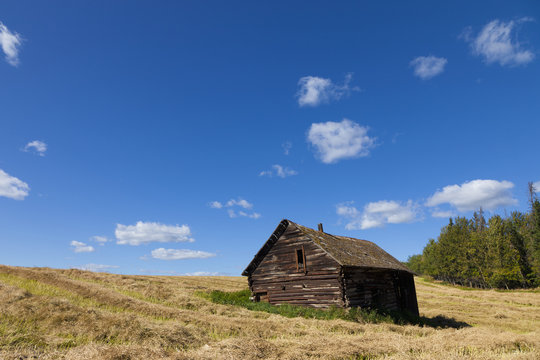 An Old Weathered Wooden Structure In A Field; Alberta, Canada