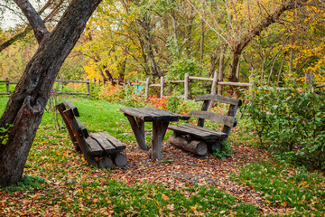 bench in the autumn forest