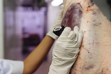 Meat quality control in butchery.