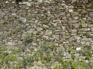 Stone wall with grass, Spain