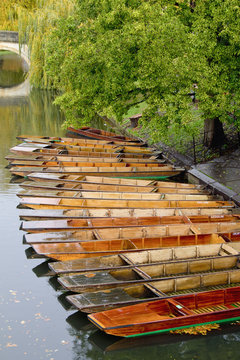 Punts On The River Cam; Cambridge, England