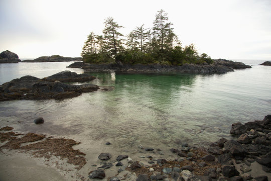 Ucluth Beach In The Wya Point Campground Near Ucluelet On Vancouver Island; British Columbia, Canada