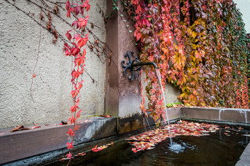 Herbstlaub und Brunnen