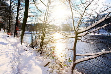 Winter landscape with sunshine, trees and forest lake.