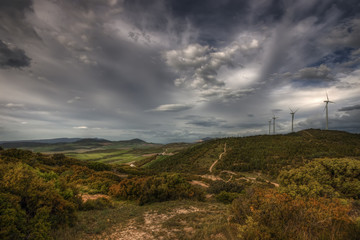 Meadows and windmills