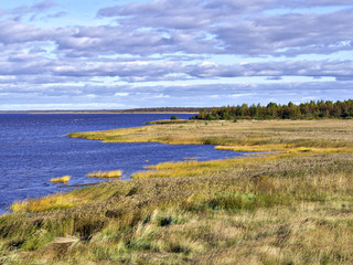 Brown tussock grassland by the blue sea.