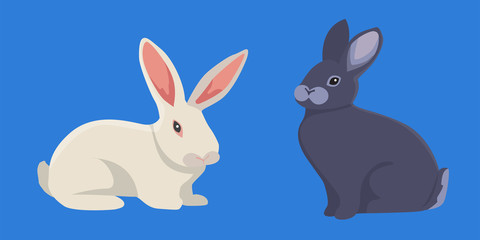 Fototapeta premium vector illustration of cartoon rabbits. set drawing isolated rabbit.