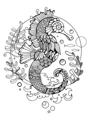 Sea horse coloring book for adults vector