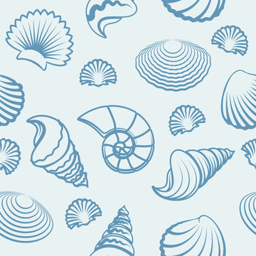 Vector seashells pattern. Sea shell hand drawn background