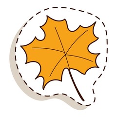 Obraz premium autumn leaf vector illustration.