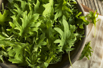 Raw Green Organic Baby Kale