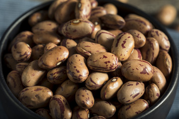 Healthy Raw Organic Cranberry Beans