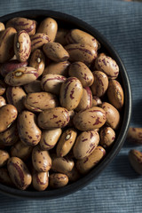 Healthy Raw Organic Cranberry Beans