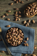 Healthy Raw Organic Cranberry Beans