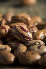 Healthy Raw Organic Cranberry Beans